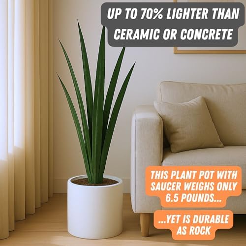 Fox & Fern Large Planter for Indoor or Outdoor, Matte White, 10 Inch - Image 4