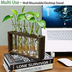 Kingbuy Retro Wooden Stand with 3 Bulb Vase + Wall Mounted 5 Glass Test Tubes Planter Plant Propagation Stations - Image 6