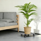 16" Plant Caddy with Wheels Heavy Duty Rolling Plant Stand, 500lbs Capacity - Image 2