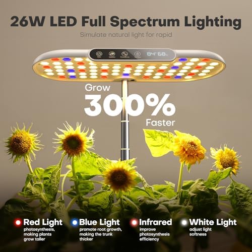 Ahopegarden Hydroponics Growing System with 12 Pods, Indoor Garden Kit with LED Grow Light & LCD Temp Humidity Display, Smart Quiet Pump Planter for Herbs, Lettuce, Vegetables, Kitchen Garden Use - Image 2