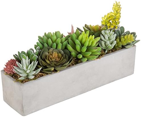 MyGift Faux Succulent Plant Arrangement in 12-Inch Gray Cement Pot by MyGiftHome