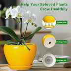 Ceramicfor Ceramic Pot for Plants - 6 Inch Plant Pot Glaze Modern Decorative Round Planter with Drainage Hole and Saucer for Home Patio Room Office House Decor, Yellow - Image 5