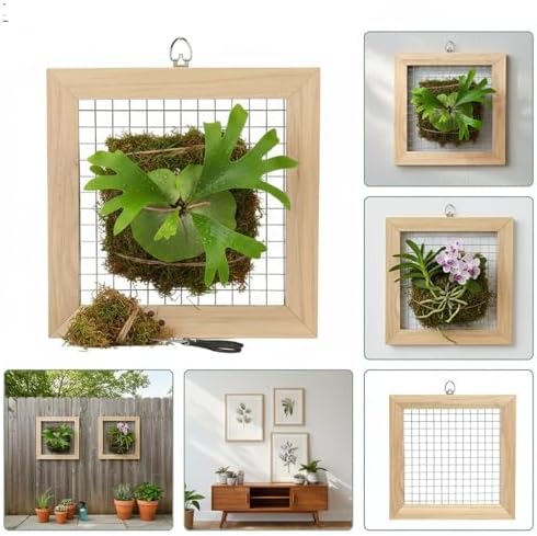 Staghorn Fern Mounting Frame Kit Wooden Wall Planter Vertical Gardens Hanging Plant Holder for Platycerium, Orchids and Succulents(Wood) - Image 5
