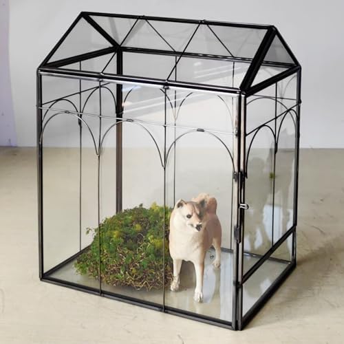 HighFree Geometric Plant Terrarium with Lid (Black with Side Door) - Image 6