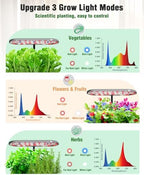 Growell Hydroponics Growing System Kit, 16 Pods Indoor Garden with 28W Full Spectrum LED Grow Light, Auto Timer, 3 Smart Light Modes, 8L Large Herb Garden, Ideal Gardening Gift for Women, Men (Gray) - Image 3