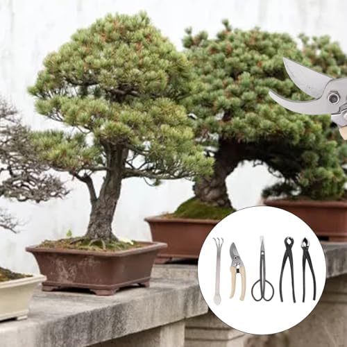 5PCS Bonsai Tool Kit, Carbon Steel Professional Bonsai Starte Set Tree Pruning Tools Cutter Scissor for Potted Plant Pruning - Image 2