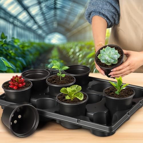 RooTrimmer 4 Inch Plastic Plant Pots 60 Pcs and 12 Cell Nursery Pots Trays 5 Pcs, Thick Sturdy Seeds Starting Germination Shuttle Carrying Trays, Black Small Planter Nursery Propagation 5 Sets - Image 6