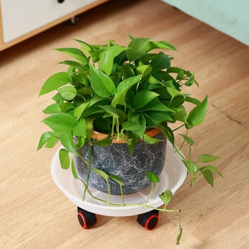 6 Packs 13 Inches Large Plant Caddy Plant Saucers on Wheels Rolling Plant Stands Heavy-Duty Plant Dolly Plastic Planter Roller Base Pot Movers Outdoor Plant Tray Coaster - Image 4