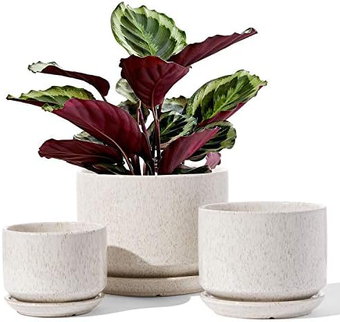 LE TAUCI Ceramic Pots for Plants, 4.3+5.3+6.8 Inch, Set of 3, Glazed Beige by LETAUCI