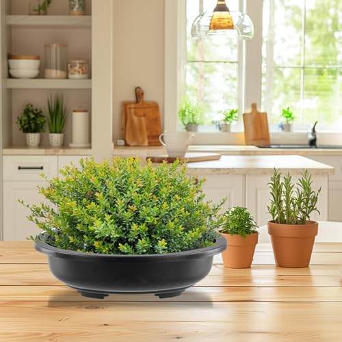 HOIGON 10PCS 12 Inches Plastic Oval Bonsai Training Pots, Black Large Oval Plastic Planter Pot with Drainage Hole, Shallow Plant Nursery Pot for Succulent - Image 7
