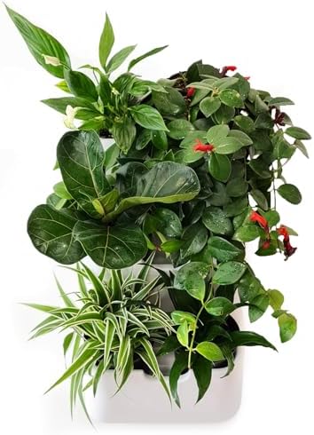 BOXSAND-6 (12"x26") Vertical Wall Planter – Living Wall for 6 Plants, Indoor/Outdoor Hanging Vertical Garden, Easy 2-Screw Install (White with Round Pots) by BOXSAND