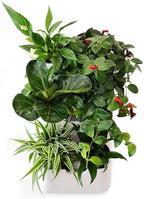 BOXSAND-6 (12"x26") Vertical Wall Planter – Living Wall for 6 Plants, Indoor/Outdoor Hanging Vertical Garden, Easy 2-Screw Install (White with Round Pots) by BOXSAND