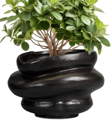 Ceramic Pots for Plants 10.6 Inch - Bonsai Flower Pots for Indoor Plants with Drainage Hole, Decorative Outdoor Pot for Plant, Gift for Men Women, Black by Teagas