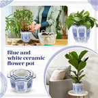 Briwooody Set of 3 Chinoiserie Planters Blue White Ceramic, Classic Style - Image 5