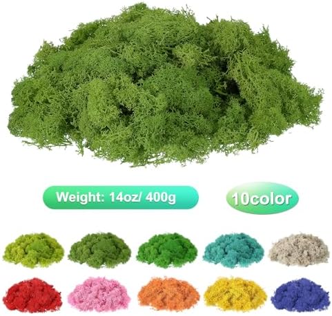 uxcell Preserved Reindeer Moss, 14oz Fake Moss for Crafts Artificial Dried Moss for Decoration Terrariums Potted Plants, Light Green/Dark Green/Yellow/Chartreuse - Image 2