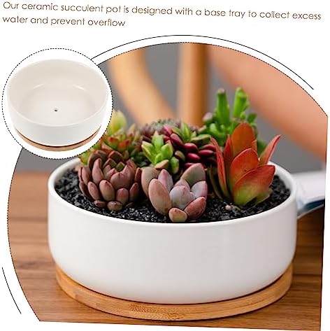 YARNOW Ceramic Succulent Pot with Bamboo Tray 1 Set Flower Pot for Indoor and Outdoor Use for Cactus and Bonsai Plants Sturdy and Stylish Design - Image 6