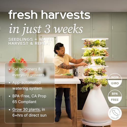 Lettuce Grow Farmstand Indoor Starter Kit | Glow Rings | 30 Seedlings | 5ft - Image 2