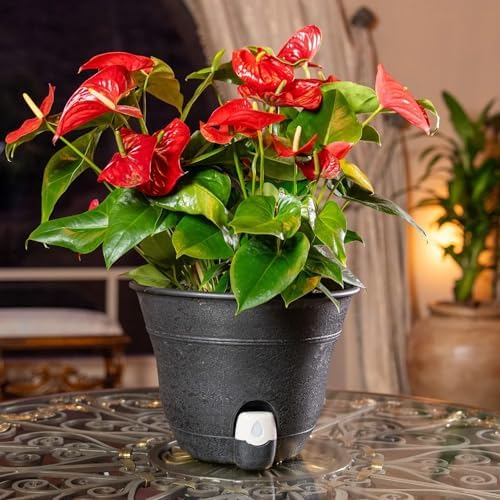 Bernini FirmaStone 15" Self-Watering Planters, Set of 2 – Durable Indoor/Outdoor Pots with Drainage Plug & Built-in Reservoir – Lightweight Garden Planters for Patio, Porch, Balcony (Green) - Image 6