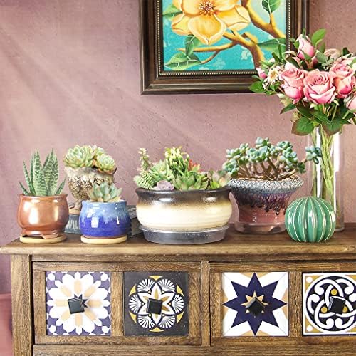 8 Inch Succulent Pot with Drainage and Saucer Glazed Terracotta Round Ceramic Succulent Planter Cactus Bonsai Plant Pot (White and Black) - Image 4