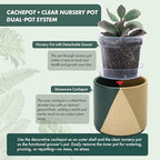 D'vine Dev 2-Pack Cachepot with Clear Pot, 4.5 in, Desert Forest, 93-V-B-1 - Image 4