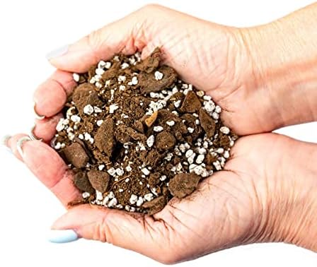 Gardenera Indoor Herb Soil Mixture - Specially Blended for Growing Kitchen Plants, 4 Quart Bag - Image 2