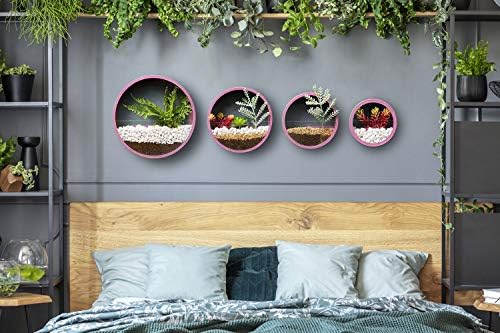 Pack of 4 Round Wall Planters Hanging Metal Plant Containers Circle Plant Holder Contemporary Morden Circle Iron Vase for Succulents or Herbs Cactus and More (Pink) - Image 3