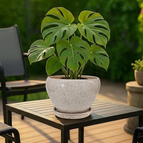 Deep Dream 8 Inch Plant Pots- Ceramic Pots for Plants with Drainage Hole and Saucer, Large Planter Pot for Indoor Plants Outdoor Decor, Beige - Image 3