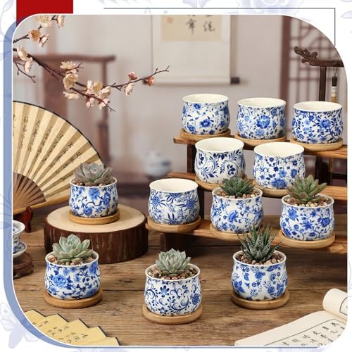 12 Pcs 3" Ceramic Chinoiserie Succulent Plant Pot Blue and White Porcelain Planter with Bamboo Tray Drainage Hole Mini Chinese Flower Jardiniere for Cactus Herbs Home Office Indoor Decor - Image 5
