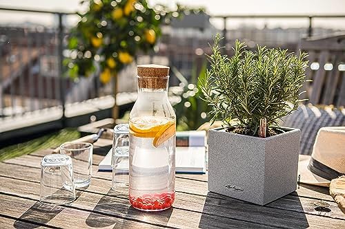 Lechuza Canto Stone 14 Stone Grey, Self-Watering Small Square Planter, H5.5 L5.5 W5.5 in - Image 4