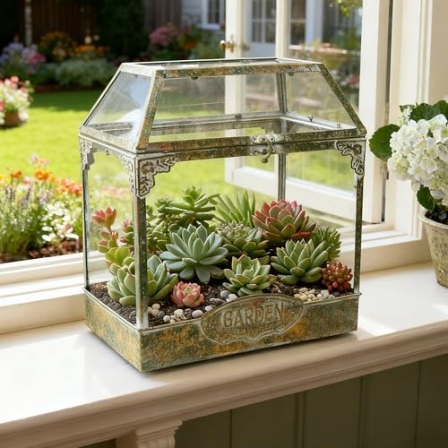 Large House-Shape Glass Terrarium with Lid, Geometric Greenhouse - Style Planter for Ferns, Succulents, Air Plants, Handmade Indoor Tabletop Decor (Terrarium Only) by Unknown