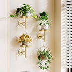 YUOROS 3 Pack Wall Plant Holder Stand Wall Planters for Indoor Plant (Gold) by YUOROS