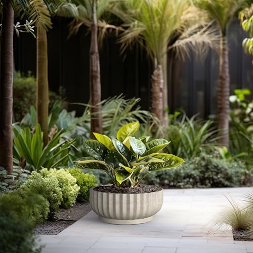 Kante Accent Round Shallow Weathered Concrete Planter 20.9" Dia, Outdoor - Image 4