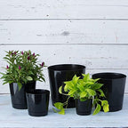 Novelty Majestic Full Depth Round Cylinder Pot, Glossy Black, 8-Inch (10088) (Pack of 2) - Image 5