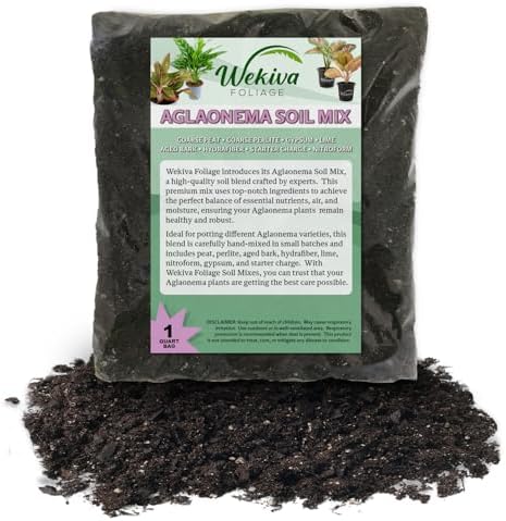 Aglaonema Growing Soil Mix – 2 Quarts - Custom Soil Blend – Potting Mix for Aglaonema Plants – Specially Developed by and for Professional Nursery Growers - Nutrient-Rich Formula by WekivaFoliage