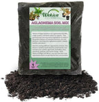 Aglaonema Growing Soil Mix – 20 Quarts - Custom Soil Blend – Potting Mix for Aglaonema Plants – Specially Developed by and for Professional Nursery Growers - Nutrient-Rich Formula by WekivaFoliage