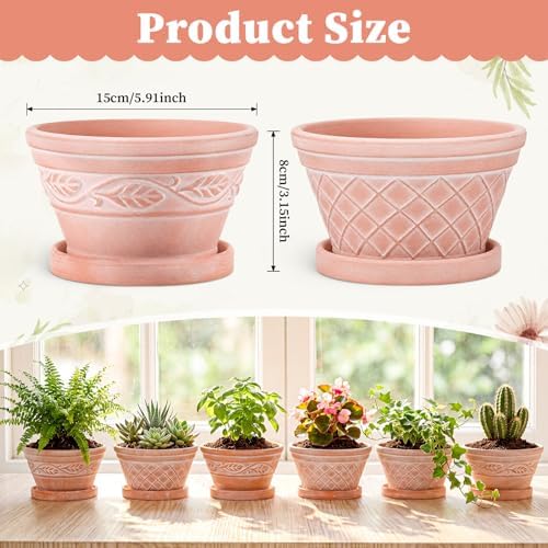 Maxdot Set of 6 Embossed Succulent Pots 6" Small Terracotta Pot, Wide Style - Image 2