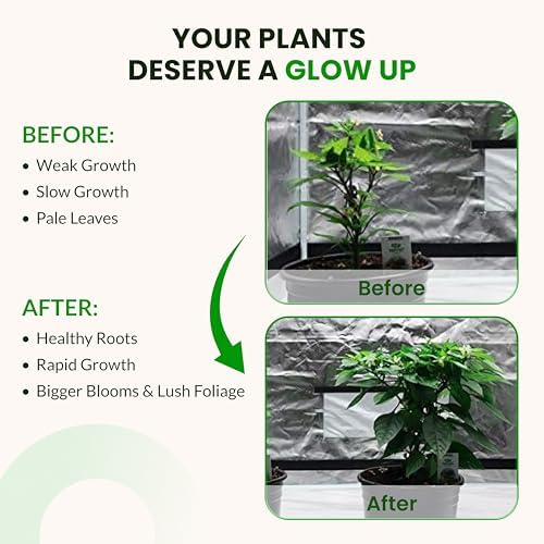 Humboldts Secret Starter Kit, Plant Fertilizer & Hydroponic Nutrients, XL - Image 5