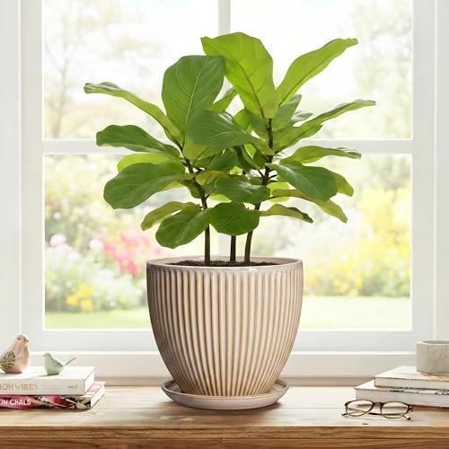 8 Inch Pots for Plants, Ceramic Planter with Saucer, Beige - Image 7