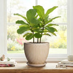 8 Inch Pots for Plants, Ceramic Planter with Saucer, Beige - Image 7
