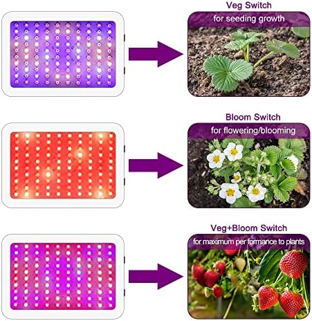 LED Grow Lights, 1000 Watt LED Full Spectrum Sunlike Growing Lamp for Indoor Plant with Daisy Chain Function,Temperature Humidity,Seedling Veg Bloom Three Modes Coverage3.5x3.5ft - Image 4