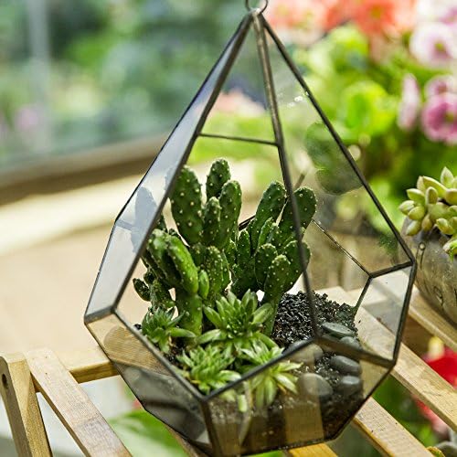 NCYP Hanging Glass Geometric Terrarium for Succulent - 6.8" x 6.8" x 8.6" Indoor Teardrop Shape Plants Planter, Tabletop Decorative Centerpiece, Black Container, Opening, Handmade (No Plants) - Image 3