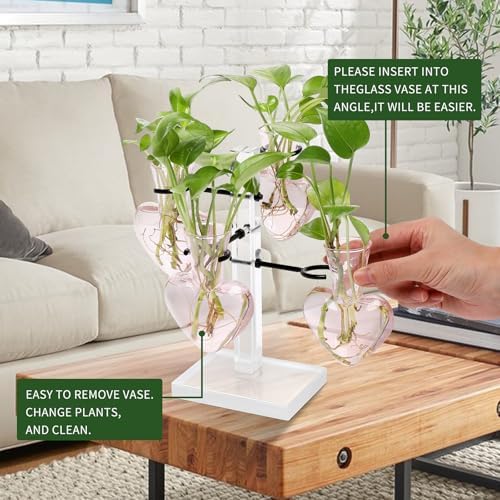 Plants Propagation Stations Plant Terrarium Kit Gift for Women - Image 4