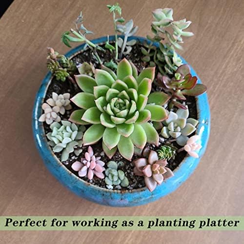 Succulent Pots, 7.3 Inch Succulent Planters with Drainage Pack of 2 - Image 5
