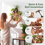 Plant Propagation Station, Monstera Hanging Wall Planter with 6 Glass Tubes - Image 4