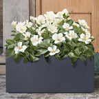 Kante Modern Rectangular Charcoal Concrete Planter 23" L 12" H 12" W - Image 5