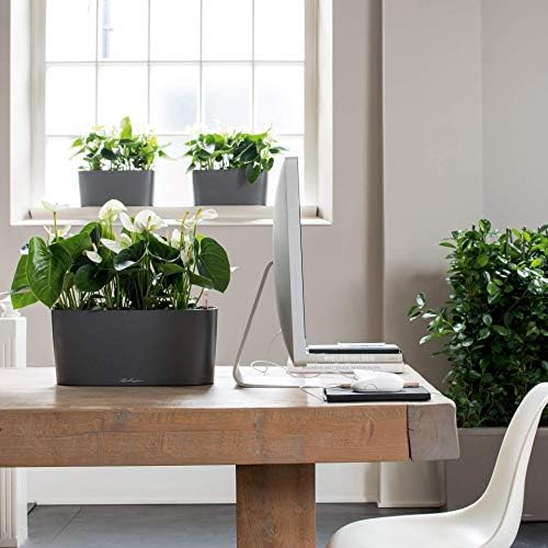 Lechuza Delta 20 Shiny Taupe, Self-Watering Planter Indoor, H7.1 L15.7 W5.9 in - Image 3