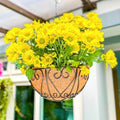 LaLaGreen Deck Hanging Baskets (16 in, 4 Pack) Black Coco Liner Garden Pots by L%C3%A1L%C3%A1Green