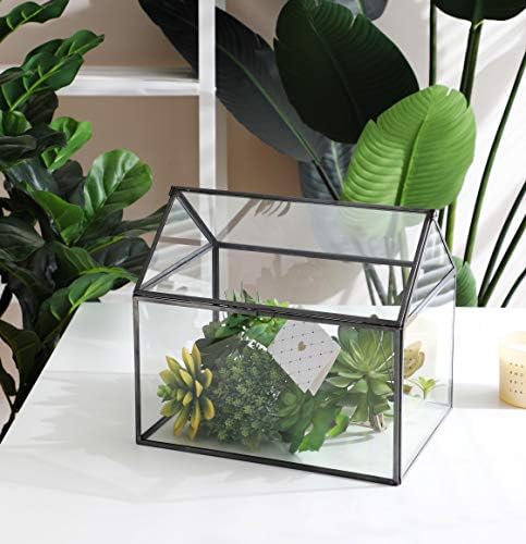 Large Glass Geometric Terrarium Container Tabletop Large Close House Shape Box Planter for Succulent Plant Moss Fern with Swing Lid Black Decor 12 x 9 x 10 inches, No Plants Included - Image 5