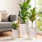 Growsun Metal Plant Pots w/Stands, Set of 3 Flower Pots w/Drain Holes by Growsun