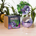 Bubblegum Stuff Disco Ball Hanging Planter: Lilac Edition - Hanging Planters for Indoor Plants - Spherical Shaped Plant Pots with Mirrored Exterior - Available in 6-inch Size by BubblegumStuff